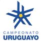 Giải Primera Division Uruguay