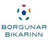 Iceland Cup