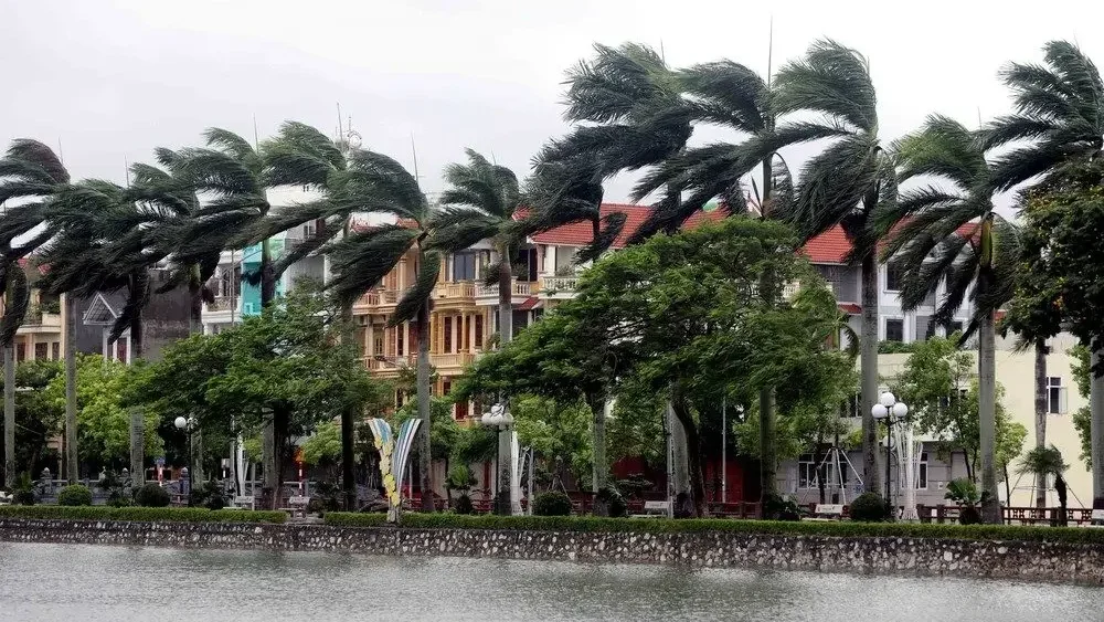 Thời tiết ngày 14/9: Cao nguyên Trung Bộ và Nam Bộ mưa lớn